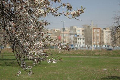 وزش بادهای شمالی میهمان روزهای بهاری قزوین