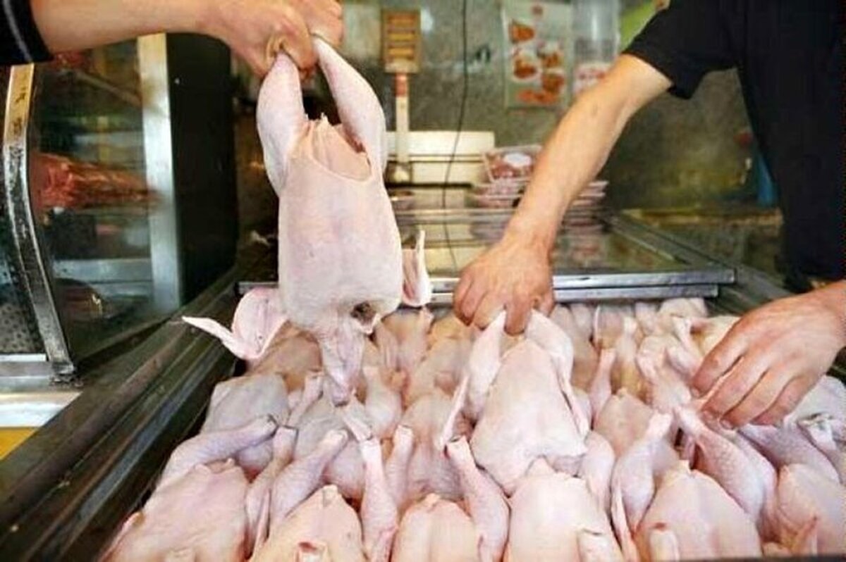 قیمت گوشت مرغ امروز ۲۱ اردیبهشت ۱۴۰۴ / فیله مرغ سبز چند شد؟